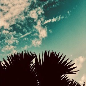 Meet your Posher, Bryan